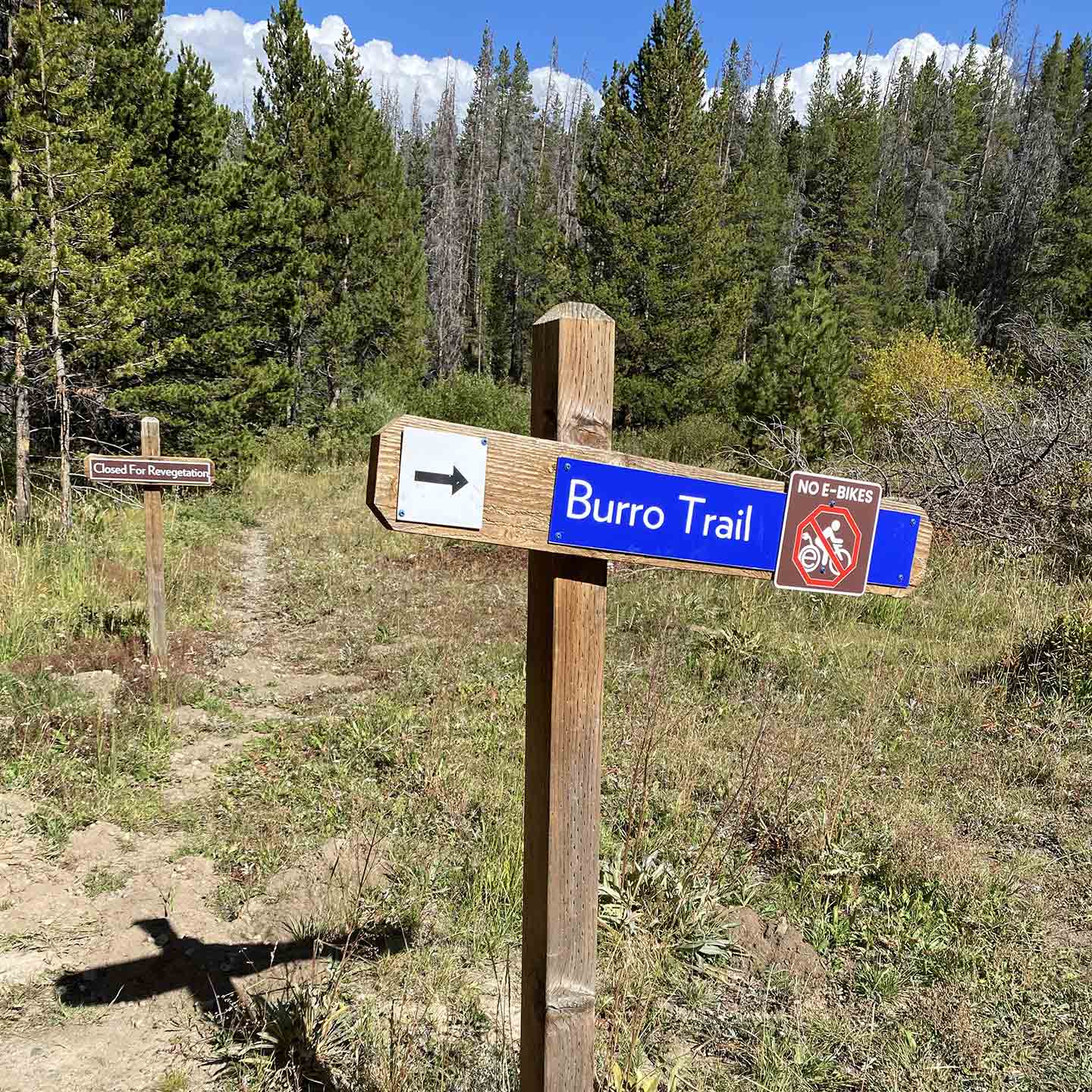 Burro Trail Breckenridge