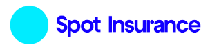 Spot Insurance logo